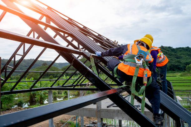 Best Affordable Roofing Company  in Walls, MS