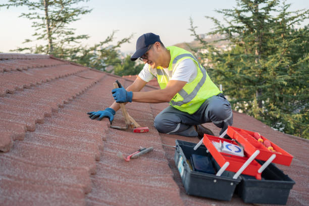 Best Best Roofing Contractors  in Walls, MS