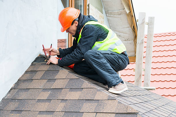 Best Shingle Roofing Installation  in Walls, MS