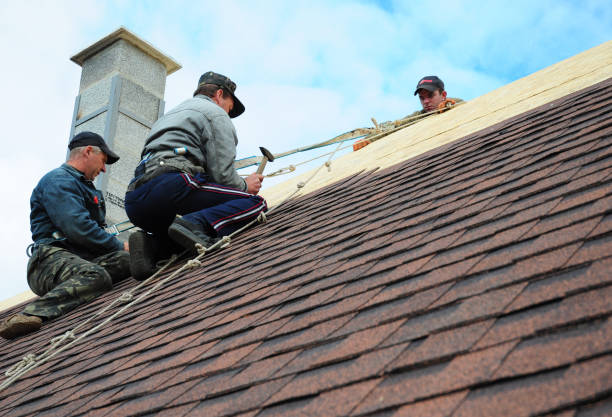 Best Storm Damage Roof Repair  in Walls, MS